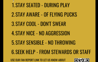 Rules of the Rink | Milton Keynes Lightning