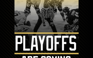 Playoff Tickets - What you need to know | Milton Keynes Lightning